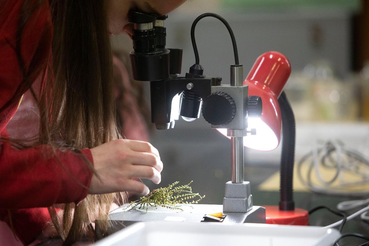 El centro Gaiástech celebra el Día de la mujer y de la niña en la ciencia con un ciclo de tertulias con mujeres tecnólogas