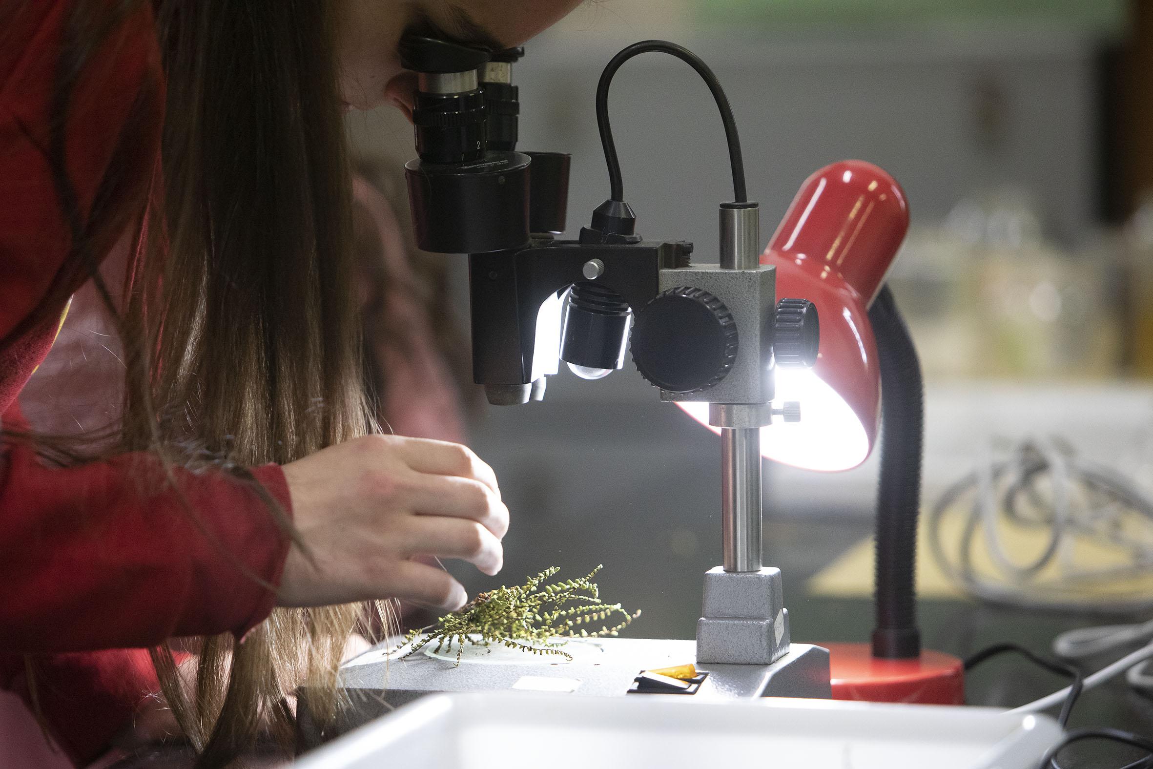 O Bacharelato STEMbach de excelencia en Ciencias e Tecnoloxía chegará a arredor de 750 alumnos de toda Galicia o vindeiro curso