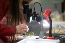 El centro Gaiástech celebra el Día de la mujer y de la niña en la ciencia con un ciclo de tertulias con mujeres tecnólogas